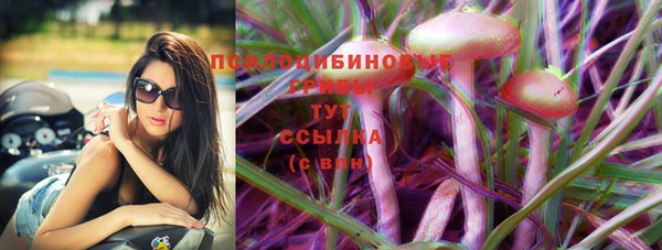 дмт Липки