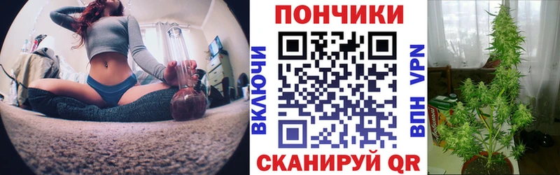 Бошки марихуана SATIVA & INDICA закладки Медвежьегорск